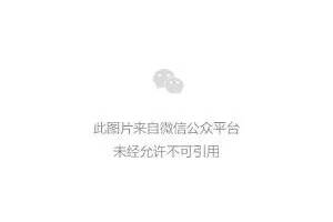 职业球员参加篮球集训的意义:提升与突破的关键路径